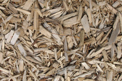 biomass boilers Dolphingstone